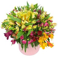 45 альстромерій в коробці