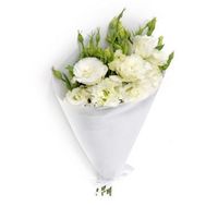 5 білих еустом