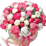 51 півонія в коробці