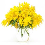 9 гілок мімози