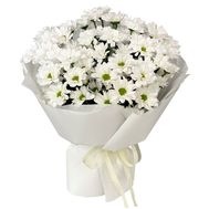 9 ромашкових хризантем