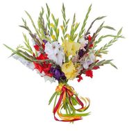 Барвистий букет гладіолусів