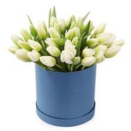 Білі тюльпани в коробці