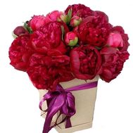 Бордові півонії в коробці