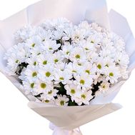 Букет 17 ромашкових хризантем