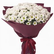 Букет 19 ромашкових хризантем