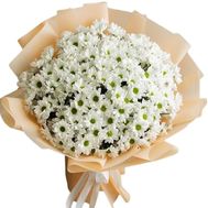 Букет 21 ромашкова хризантема