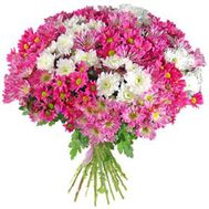 Букет із 15 хризантем