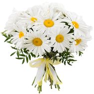 Букет із 19 великих ромашок