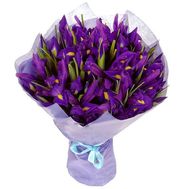 Букет із 25 ірисів