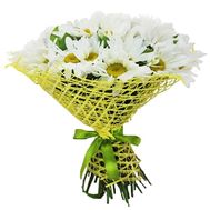 Букет 25 справжніх ромашок