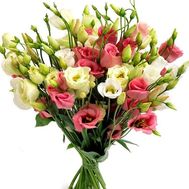 Букет із 27 еустом