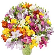 Букет із 51 фрезії