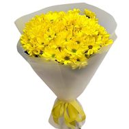 Букет із 7 хризантем