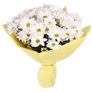 Букет із 7 ромашок