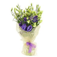 Букет із 9 еустом