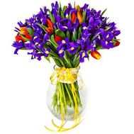 Букет із ірисів і тюльпанів