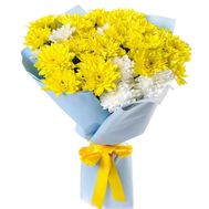 Букет 9 різнокольорових хризантем