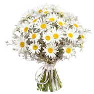 Букет польових ромашок