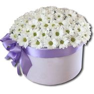 Букет ромашок в коробці