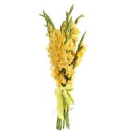 Букет жовтих гладіолусів