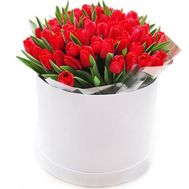 Червоні тюльпани в коробці