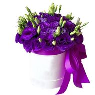 Еустоми в коробці