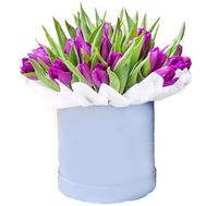 Фіолетові тюльпани в коробці