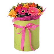 Гербери в шляпній коробці