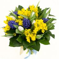 Гіацинти і мімоза