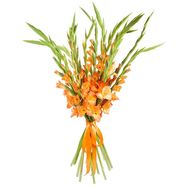 Яскравий букет гладіолусів