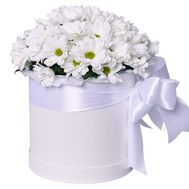 Хризантеми в коробці
