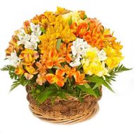 Кошик альстромерій