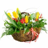 Кошик з тюльпанами і альстромеріями