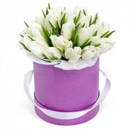 25 тюльпанів білого кольору в коробці