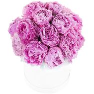 Півонії в коробці