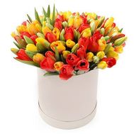 Різнокольорові тюльпани в коробці