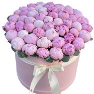 Рожеві півонії в коробці