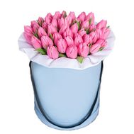 Рожеві тюльпани в коробці