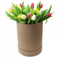 Тюльпани в коробці