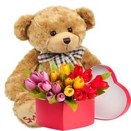 Тюльпани в коробці і ведмедик
