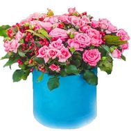 Кущові троянди в круглій коробці