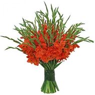 Великий букет гладіолусів