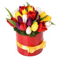 25 тюльпанів у коробці