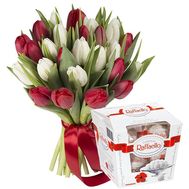 Букет з 25 червоних та білих тюльпанів