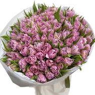 101 піоноподібний тюльпан