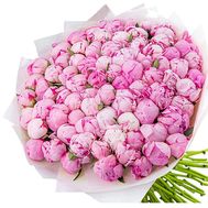 101 рожева півонія