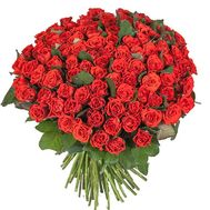 101 троянда Ель Торо