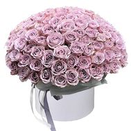 101 троянда Мемори Лейн