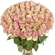 101 троянда Пінк Атена